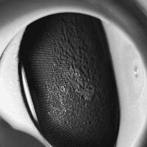 Partikelfilter DIeselpartikelfilter DPF verstopft, voller Ruß, schwarz